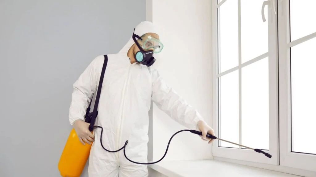 Servicio urgente de control de plagas en Fuenlabrada: chinches, sarna, legionella y aire interior. Servicio urgente de control de plagas en Fuenlabrada: chinches, sarna, legionella y aire interior.